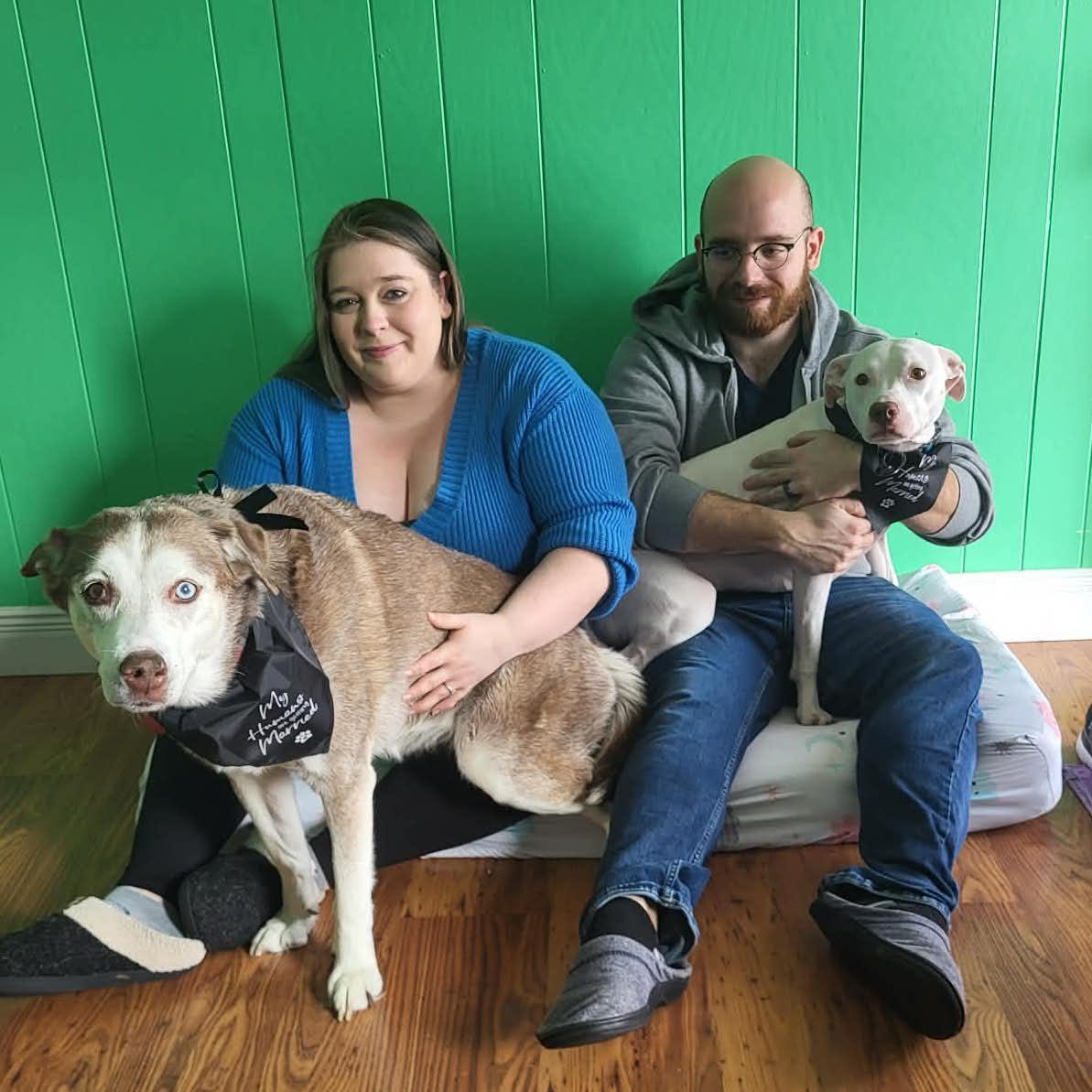 "Our humans are getting married!!!" - Stella and Feta