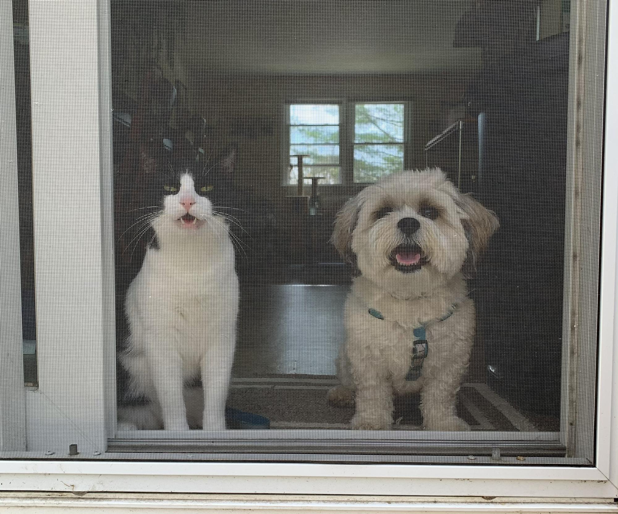 The boys together!