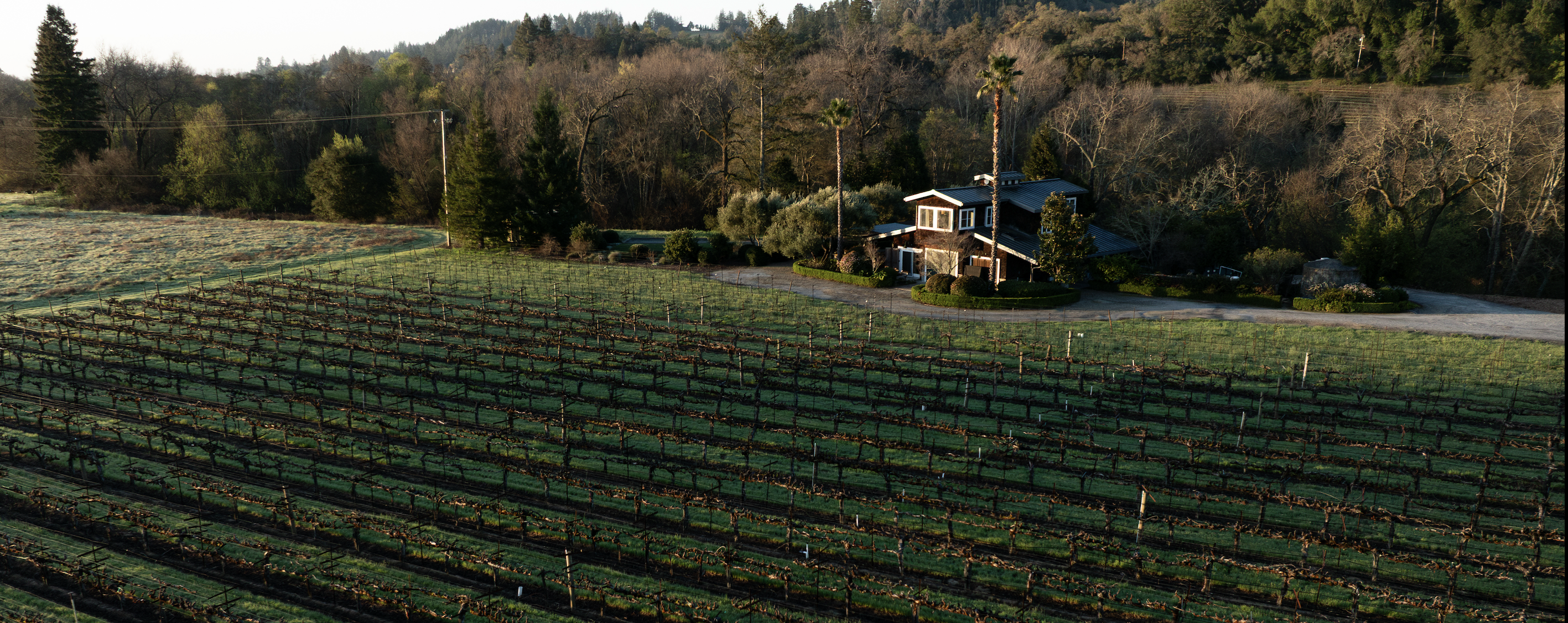 The Wedding Website of Lizzie Walls and Braden Tavelli