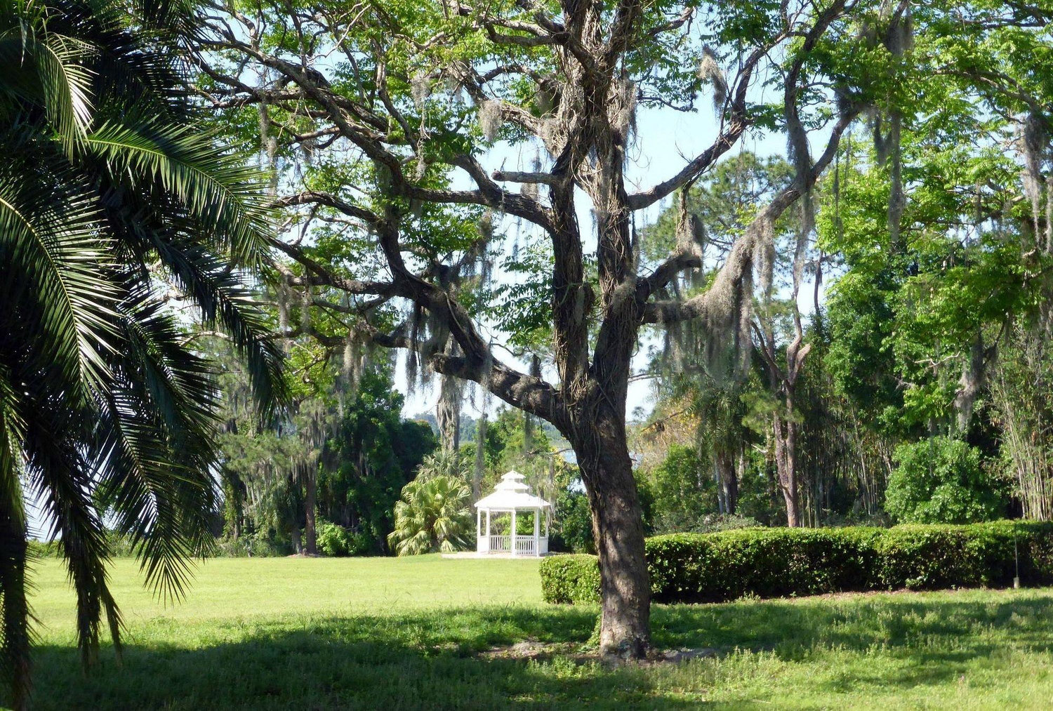 The Wedding Website of Jessica Eady and Matthew de Oliveira