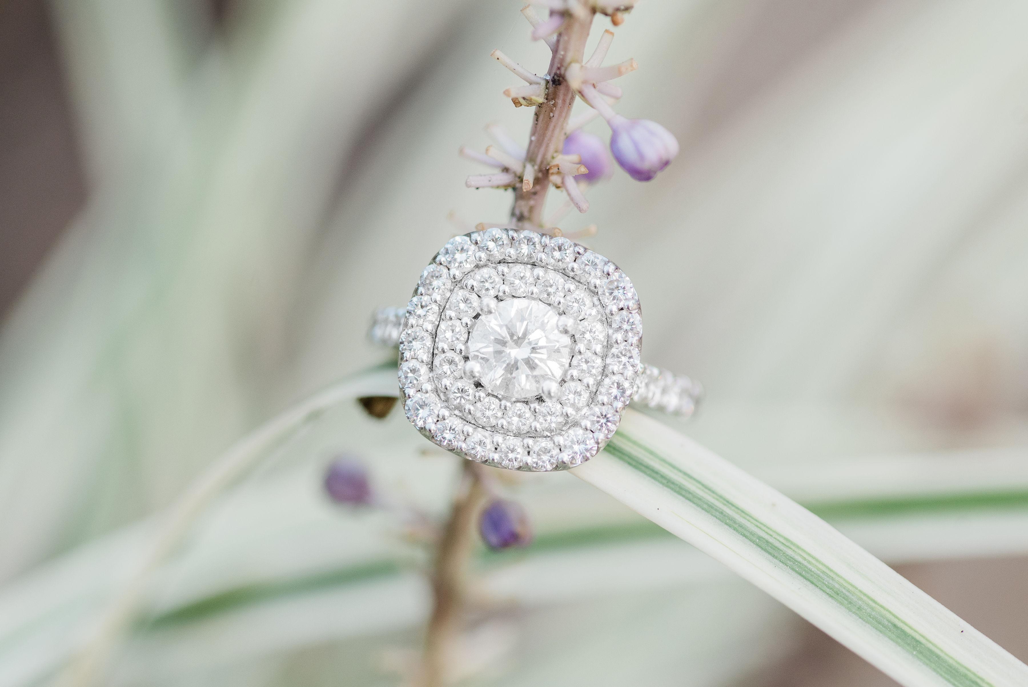 The Wedding Website of Sadie Capps and Peyton Neally