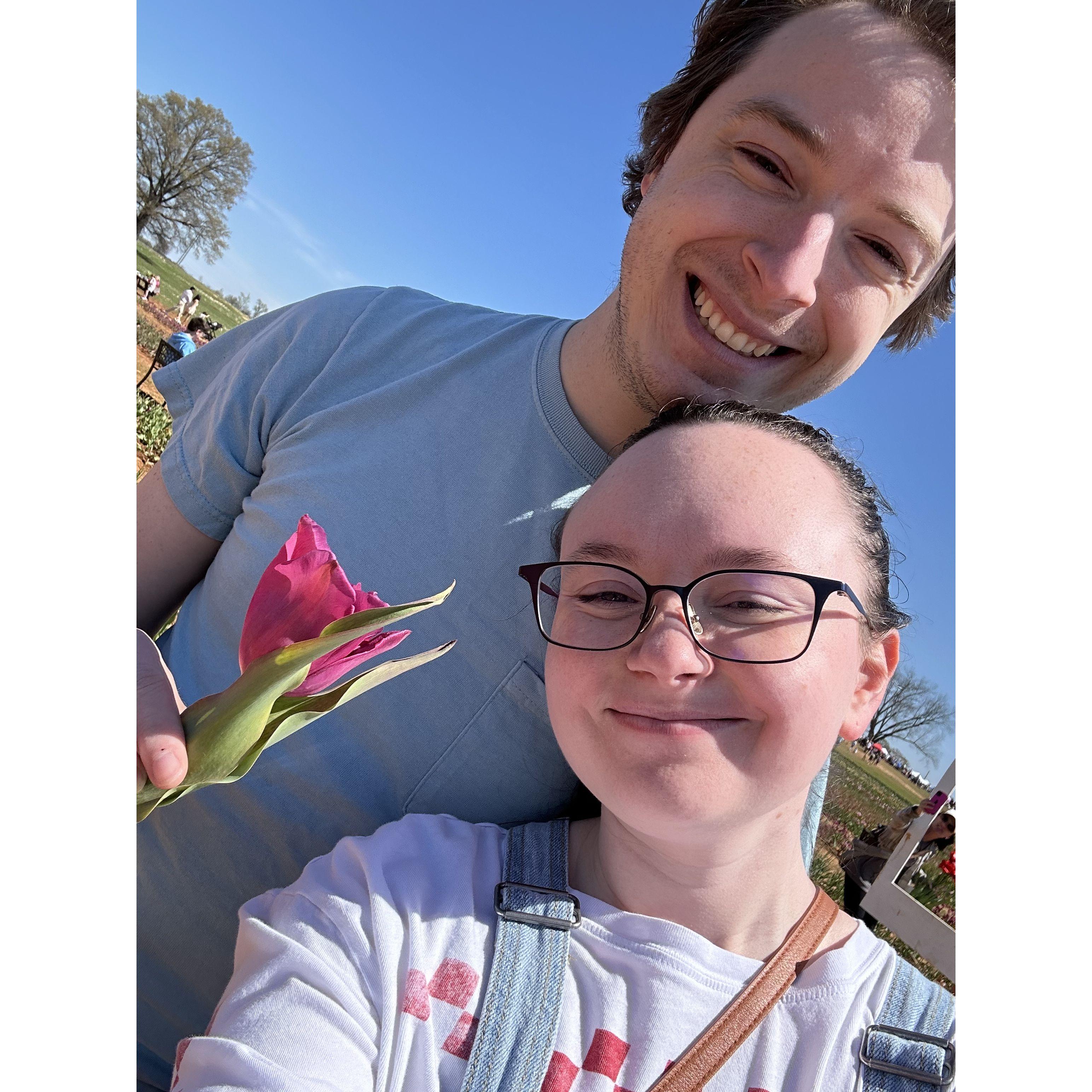 Another year, another tulip :) (3/30/2024)