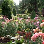 Washington Park