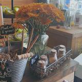 The Spice & Tea Exchange