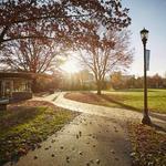 Wade Oval