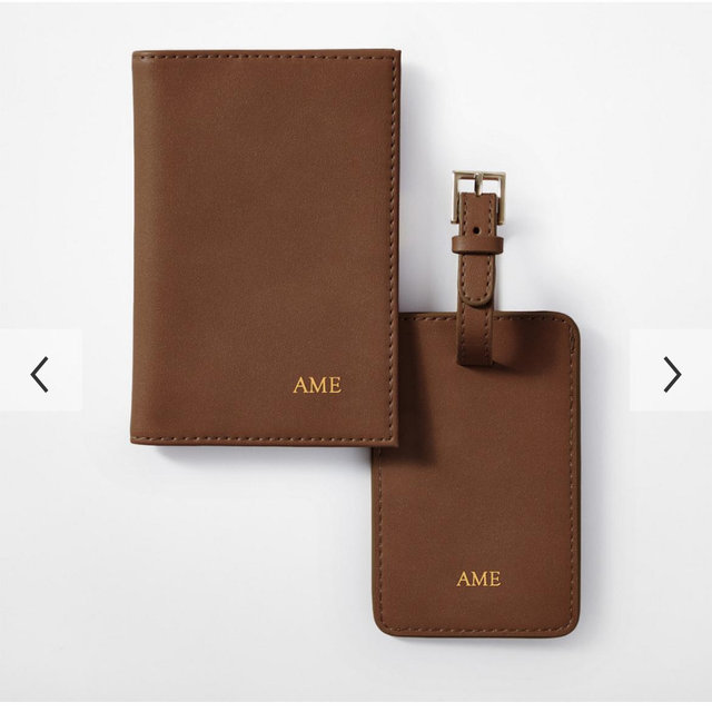 Fillmore Luggage Tag and Passport Case