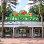 Audubon Zoo