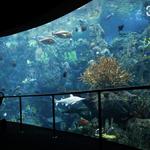Aquarium of the Pacific