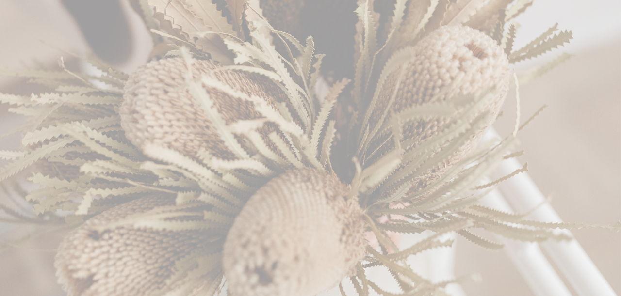 The Wedding Website of Taylor Jones and Phoebe Shah