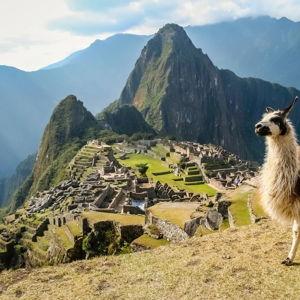Inca Trail Hike to Machu Picchu