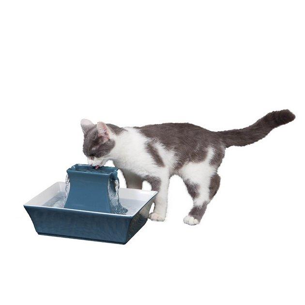 DRINKWELL Pagoda Ceramic Dog & Cat Fountain, Himalayan Blue, 70-oz - Chewy.com