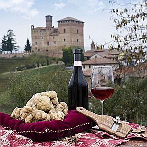 Barolo Wine Experience in Piedmont 🍷