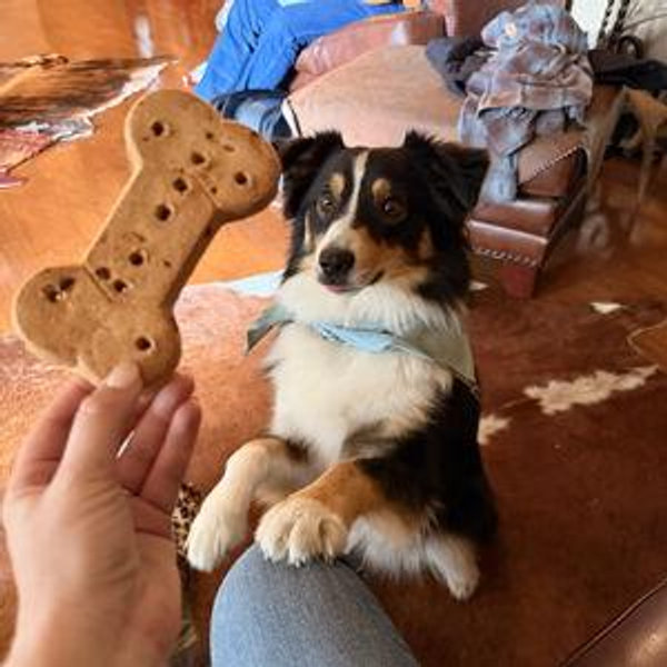 Year's Supply Of Pet Treats