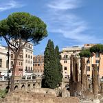 Largo di Torre Argentina