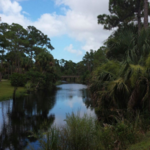 Loxahatchee River Battlefield Park