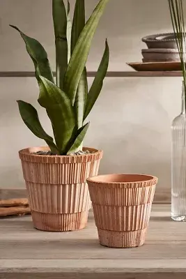 Bergs Atlas Terracotta Pot + Saucer Set