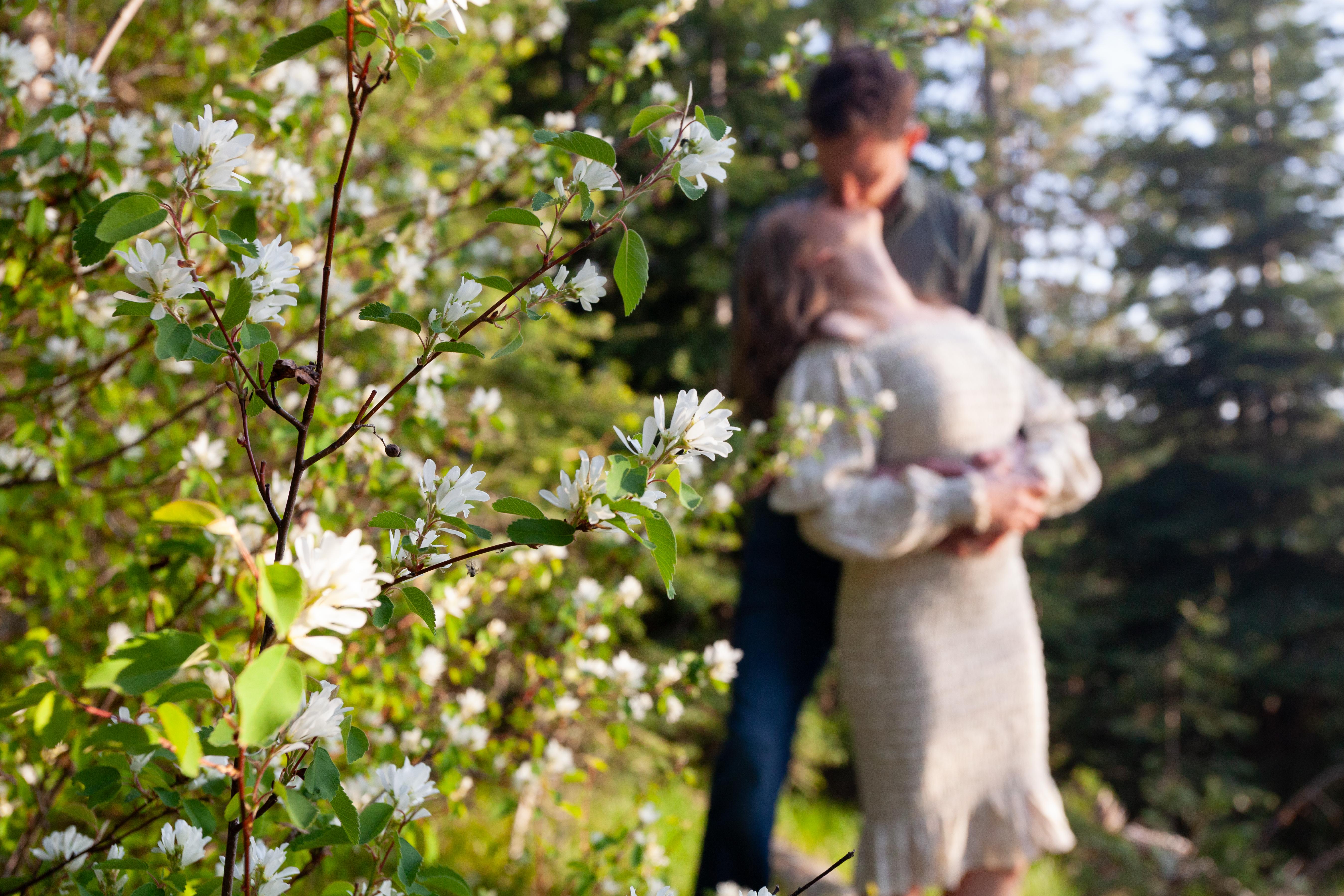 The Wedding Website of Jenna Comeau and Bradley Chesnut