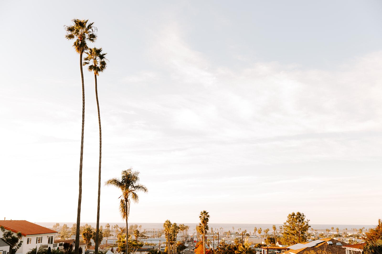 The Wedding Website of Dani Fowler and Xavier Yeoman