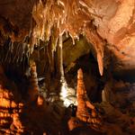 Mammoth Cave National Park