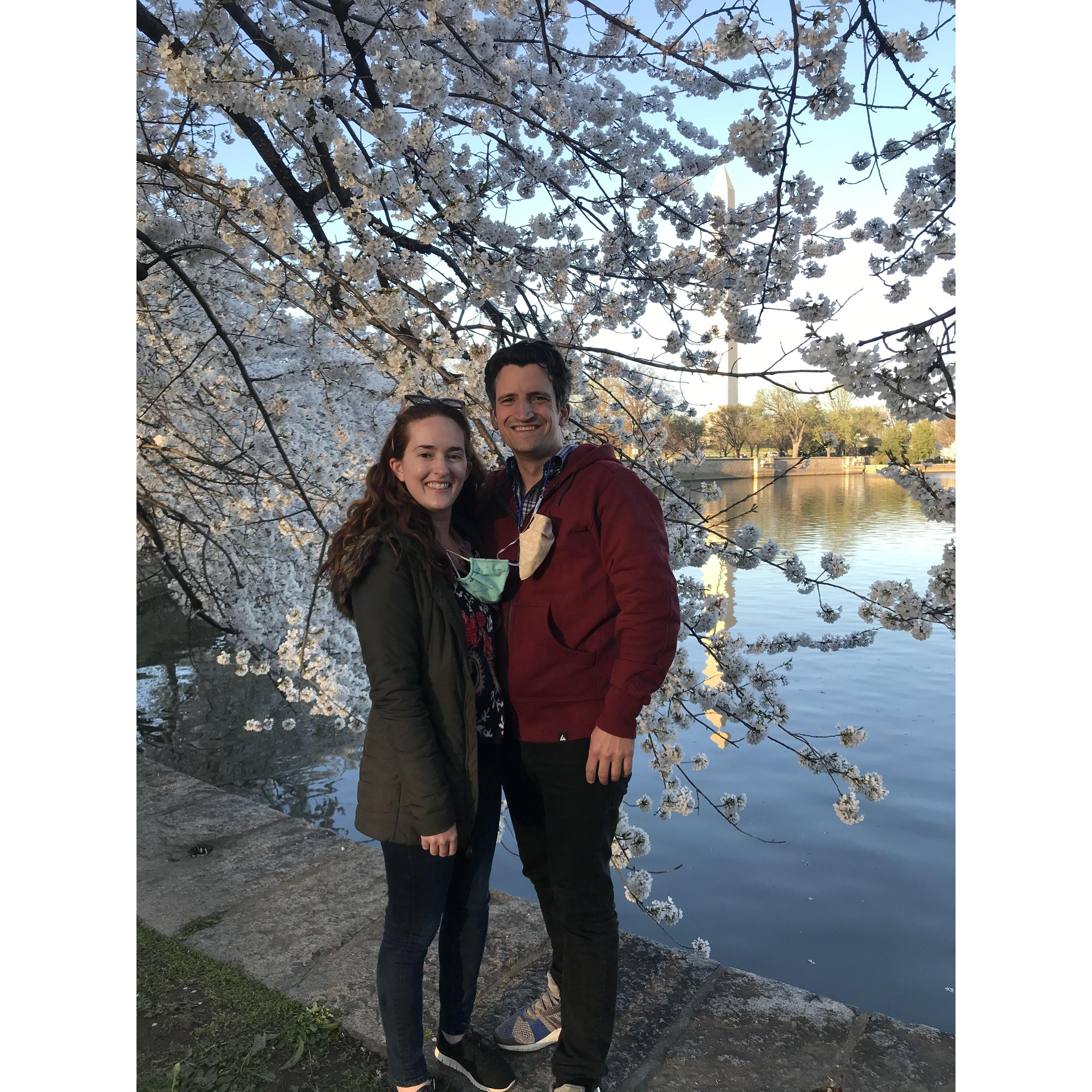 Finally getting to see the cherry blossoms tourist-free!