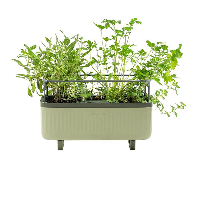 Vego Garden Herb Indoor Plant Box, Self Watering Planters Pots for Indoor Plants with Trellis for Kitchen Window Sill or Countertop Plants Cage - Sage Green