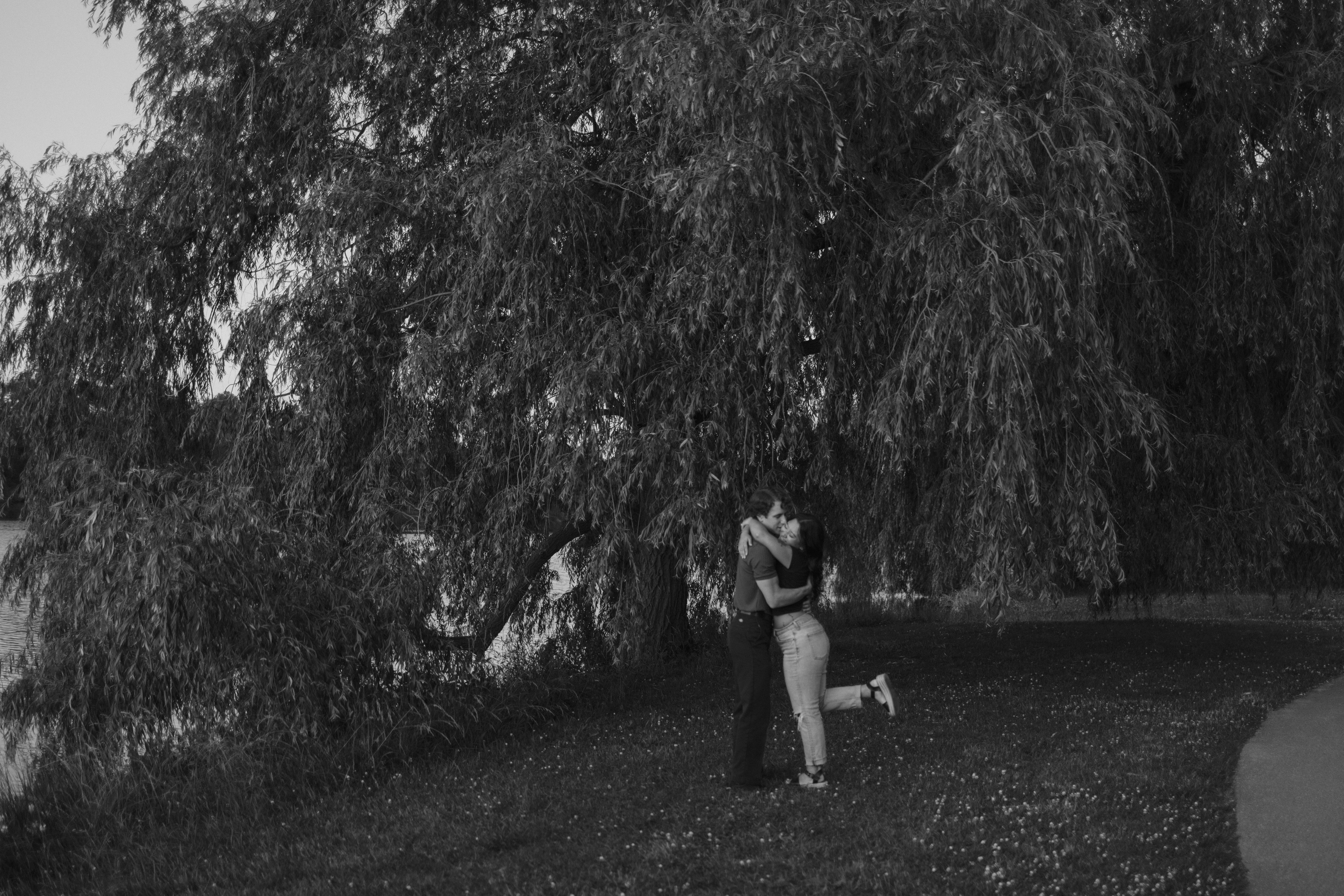 c34c6719-517f-4b62-8832-f1c4bb79e8e0