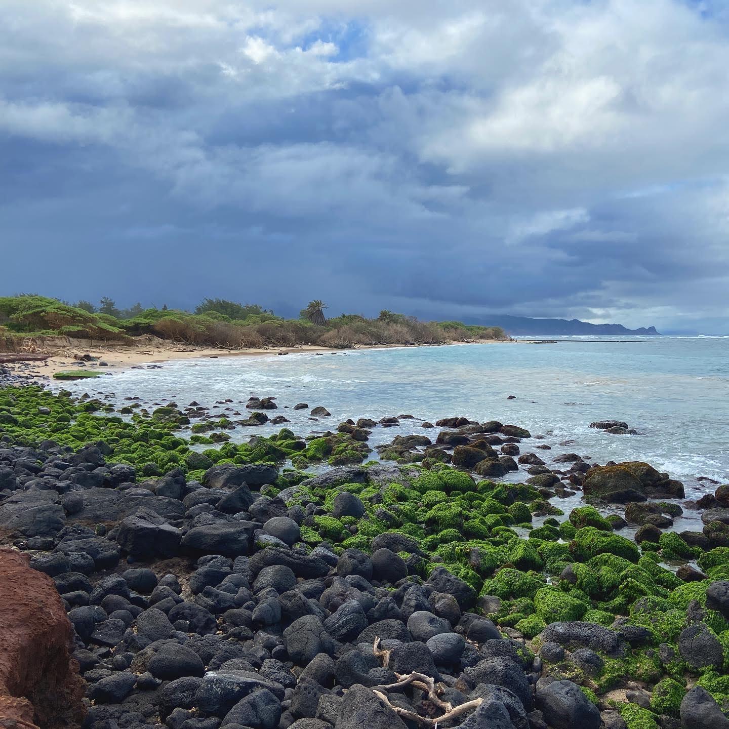 Discovered a new beach just down the street