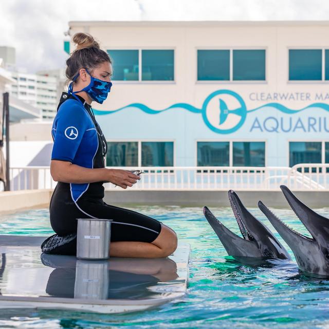 Clearwater Aquarium admission