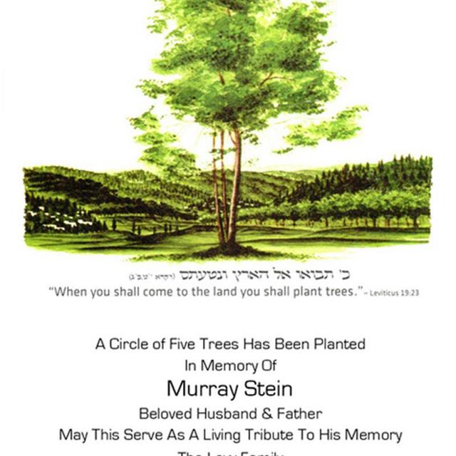 Trees for Israel