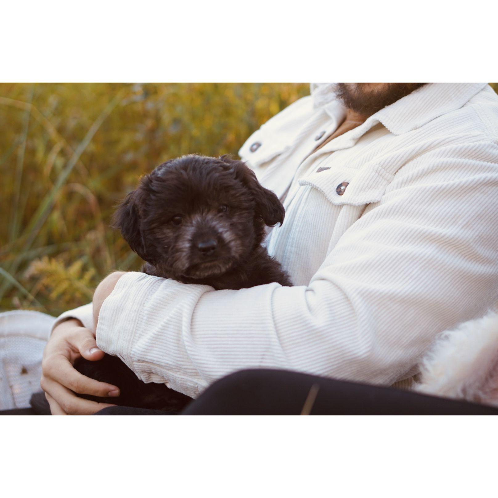 Daddy's boy.