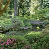 Portland Japanese Garden