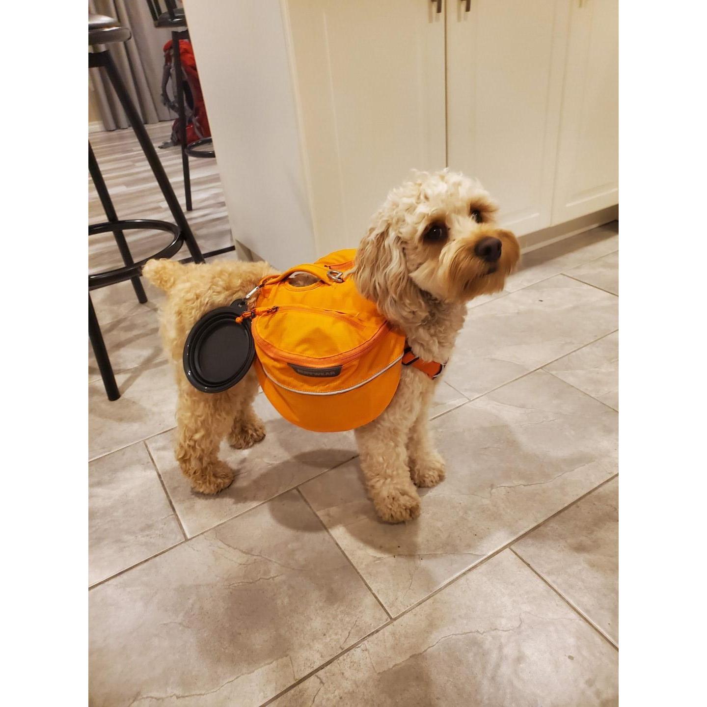 September 2020 - Steve's backpacking debut.