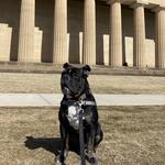 Centennial Park