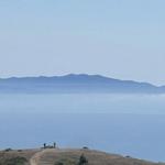 Dipsea, Steep Ravine, and Matt Davis Loop Trail