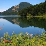 Dorena Lake