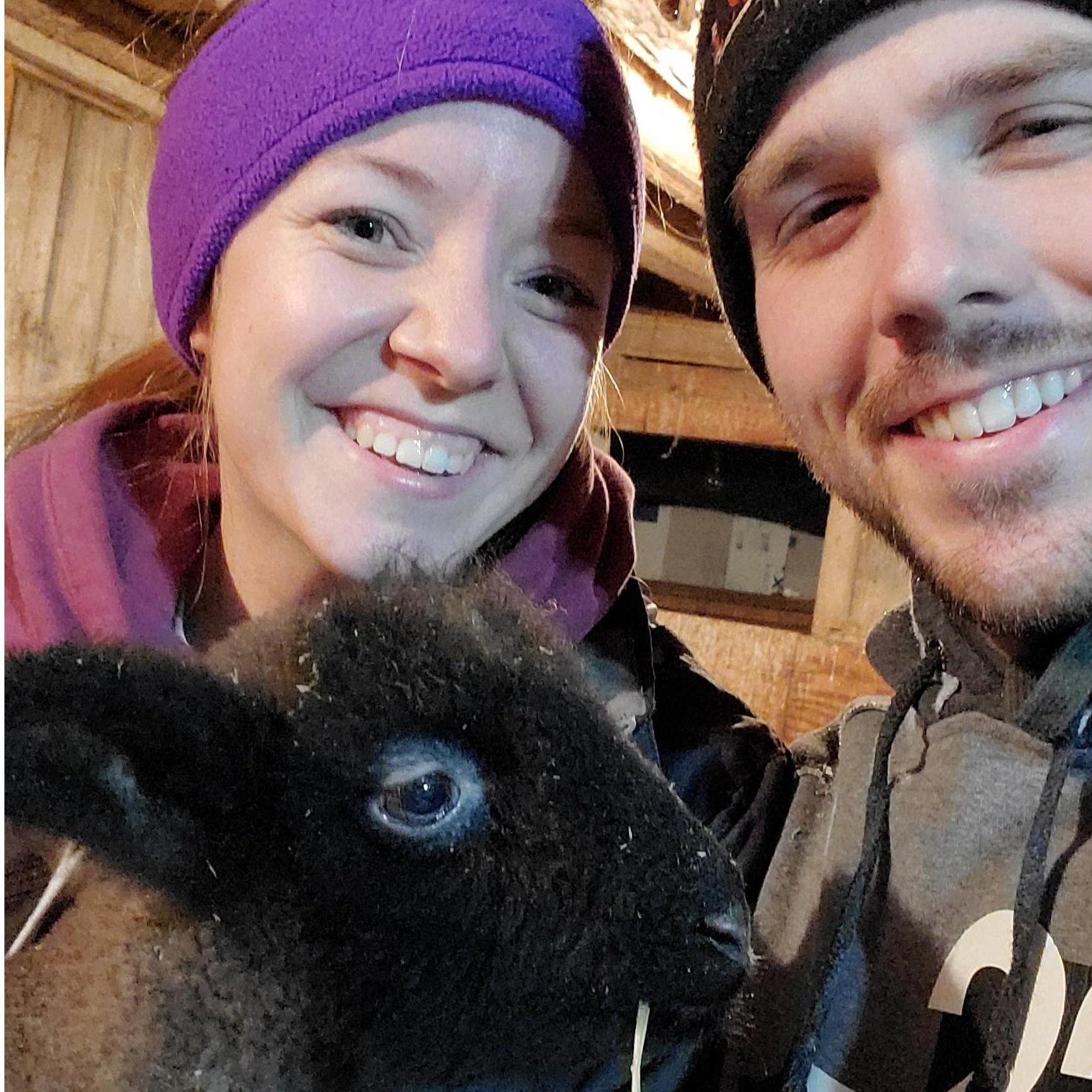 One of our favorite holiday traditions is staying in during New Year's Eve for lambing.