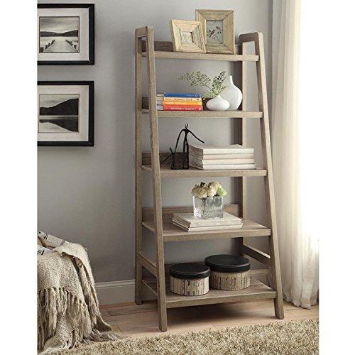 Dublin Ladder Bookcase For rustic, Convenient, And Compact Storage