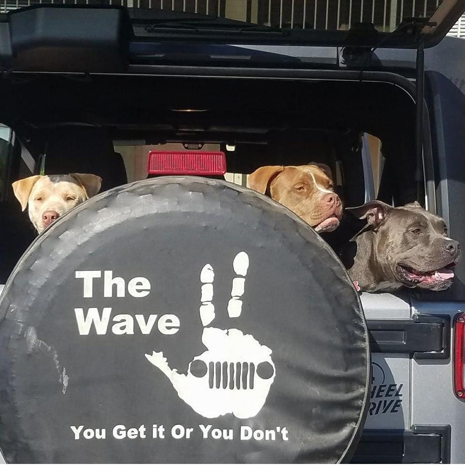 Our three doggies!