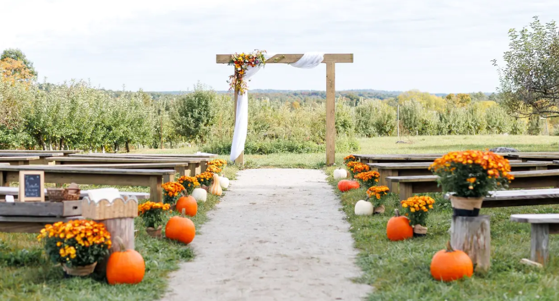 The Wedding Website of Amanda Chatfield and Austin Hooks