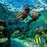 Snorkel or Scuba