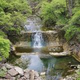 Mt. Airy Forest