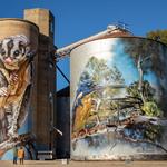 Explore silo art in surrounding towns