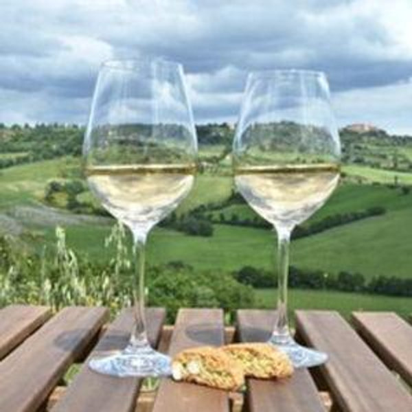 Winery Tour in Slovenia