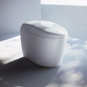 Jake's Japanese Toilet Fund