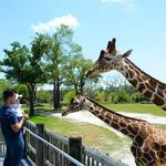 Miami Zoo