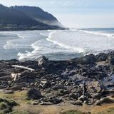 Yachats State Park