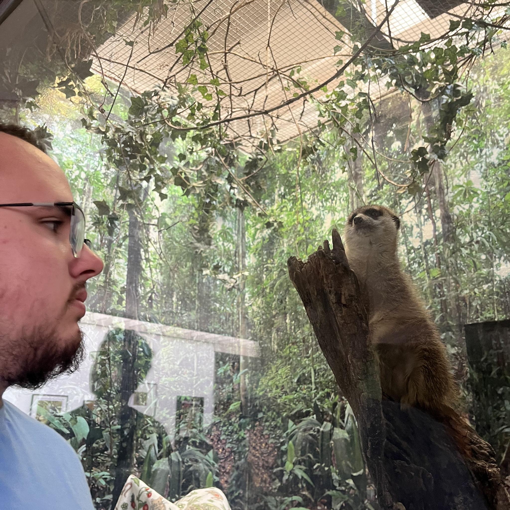 Evidence of Evan's telepathic connection with a meerkat.