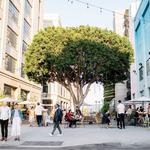 ROW DTLA
