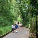 Big Creek Greenway
