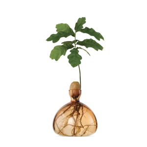 Acorn Vase - Sweet Apricot